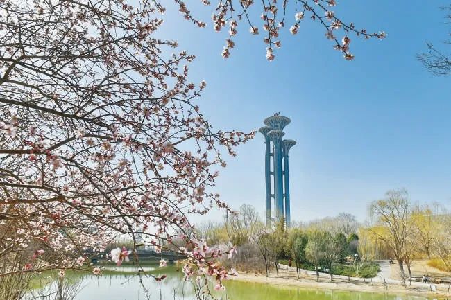 【北京朝阳】朝阳聚焦“三化”打造首都金名片(图9)