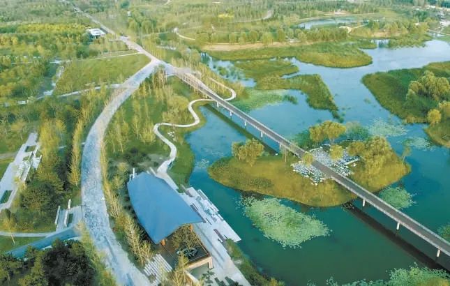 【北京朝阳】朝阳聚焦“三化”打造首都金名片(图10)