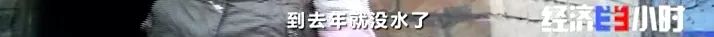 一夜之间，黄河支流变色！化工污水蔓延40公里，说好的河长呢……(图14)