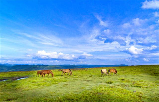 贵州这一县城，有着一千多年的历史，被誉为贵州最美的县城(图1)