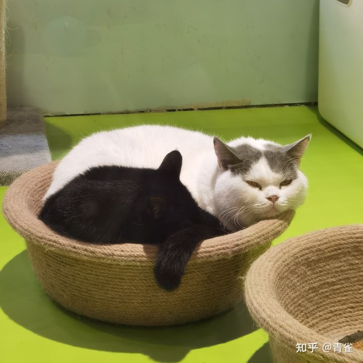 有哪些你认为能提高生活幸福感的高质量家庭产品？(图29)