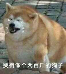 新手轻松露营装备推荐（持续更新中）(图4)