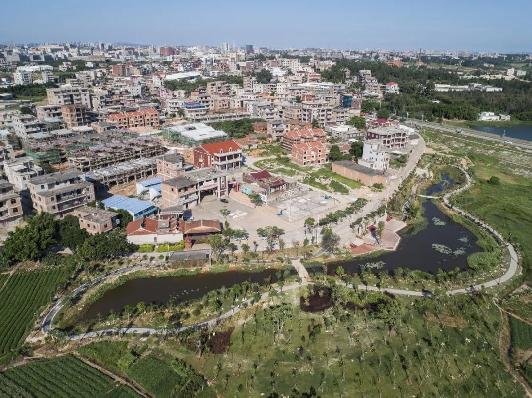 【爱安海】2020年安海实现防疫和发展双胜利(图12)