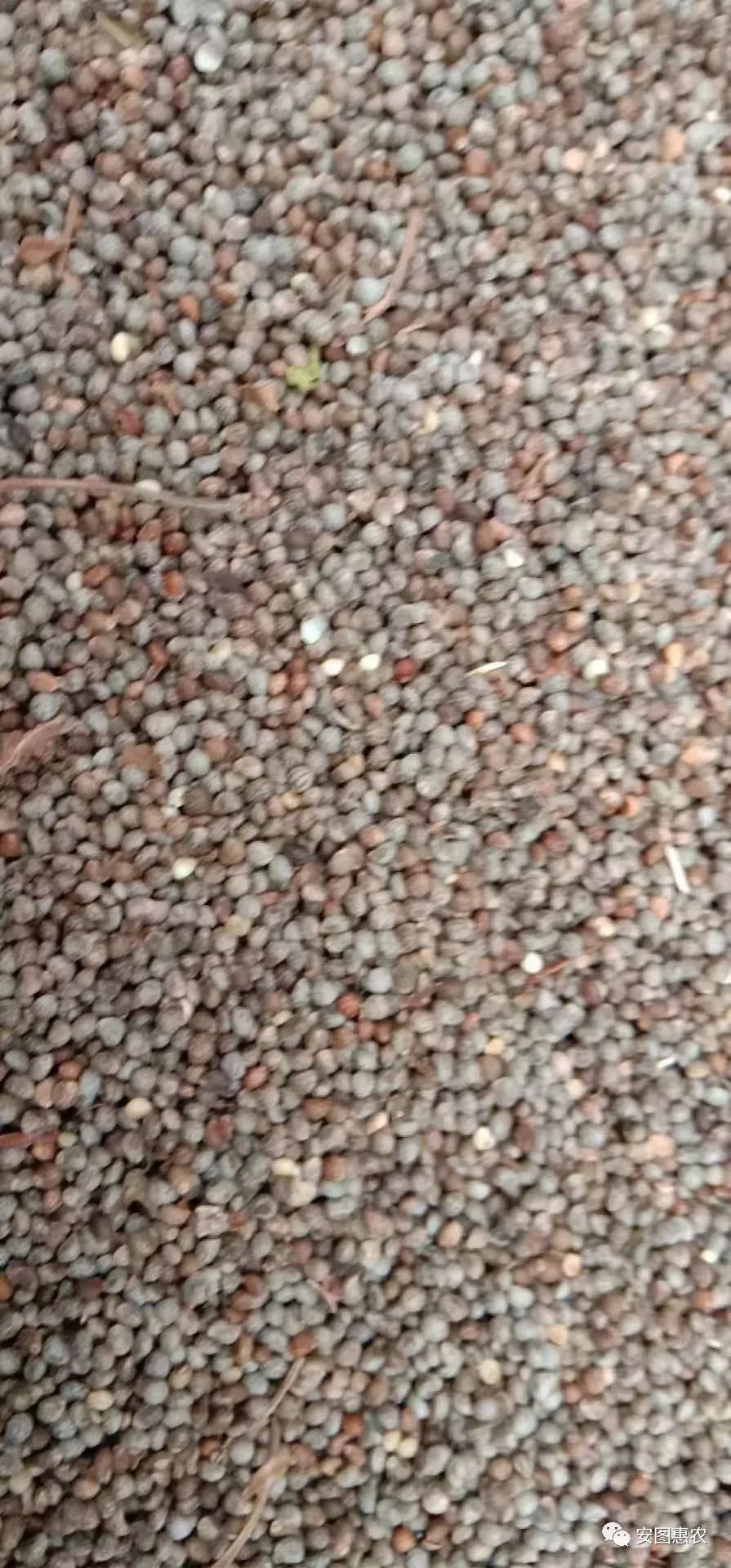 【供求信息】综合(11.11)如您需要发布供求信息，请在文章下方留言(图7)