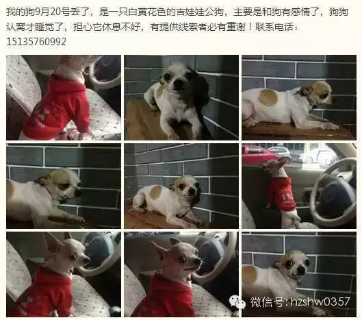 【便民】最新招聘、求职、出租、求租、出售、求购、二手、其它等信息(图3) 【便民】最新招聘、求职、出租、求租、出售、求购、二手、其它等信息(图3)