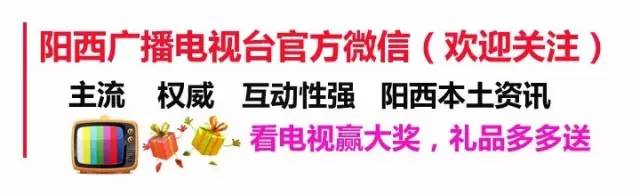 阳西县严厉打击河道非法采砂行为(图2)