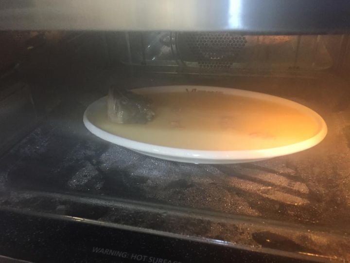 美的嵌入式伯爵系列蒸烤炉测评(图13)