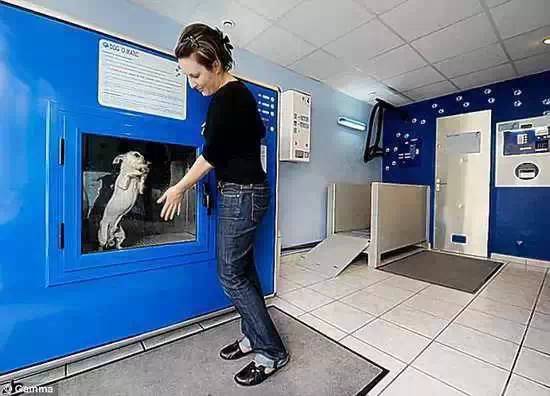 全球最奇葩的发明，有些发明让人无语!(图7)