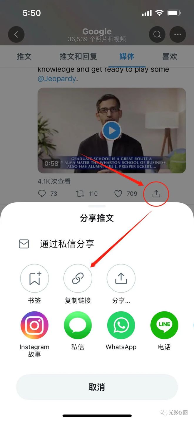 【twitter小技巧】简单三步解决推特app上视频怎么保存的问题(图3)