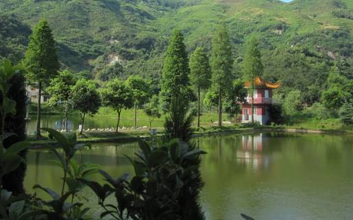 湘阴知名企业推荐(图24) 湘阴知名企业推荐(图24)