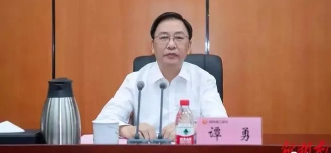 谭勇已任长沙市委副书记(图1)