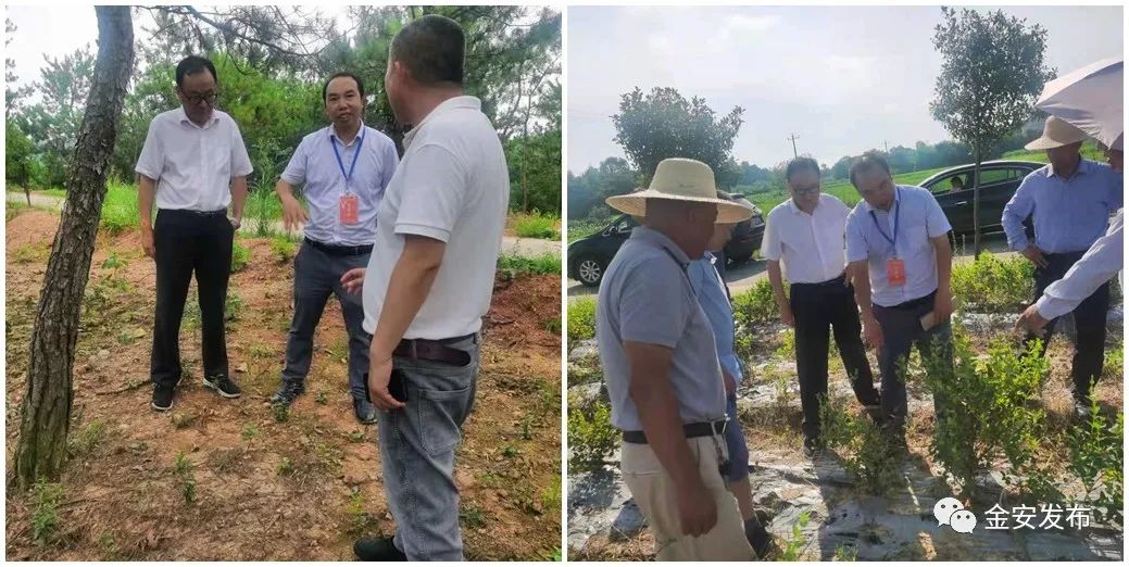 人社部项目！5天，“干货”满满收获丰！(图14)