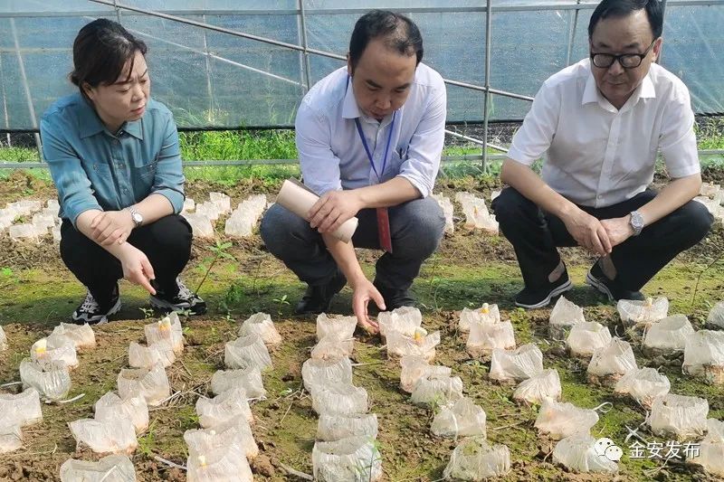 人社部项目！5天，“干货”满满收获丰！(图20)