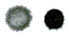 混凝土用机制砂(图12)