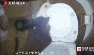 情侣酒店“激战”40分钟,4万人在线围观:酒店是直播现场!(图14) 情侣酒店“激战”40分钟,4万人在线围观:酒店是直播现场!(图14)